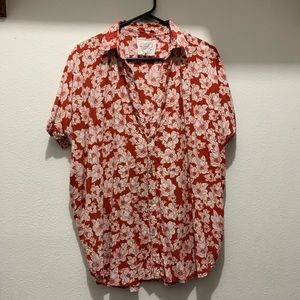 Acacia rust magnolia mombasa sm